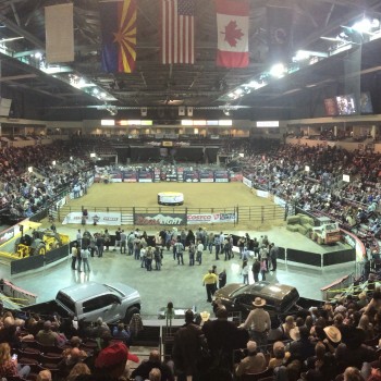 The crowd and rodeo arena during a bull riding event.  