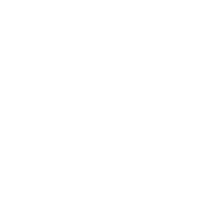 Pepsi Logo